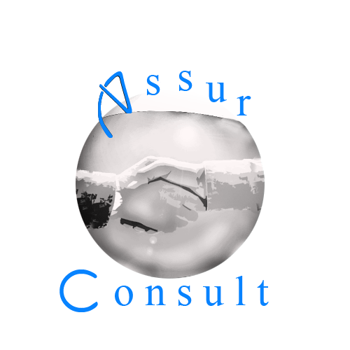 ASSUR CONSULT